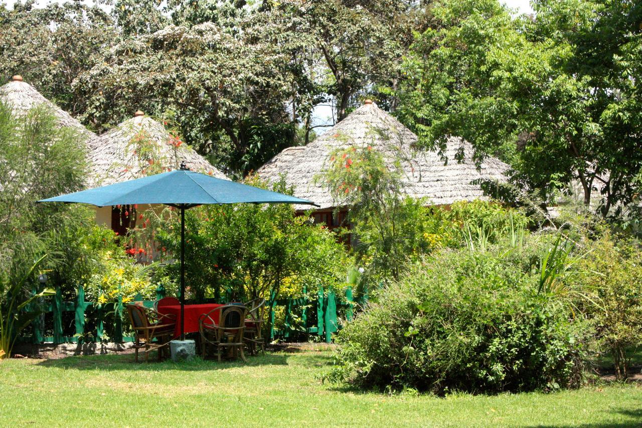 The Vijiji Center Lodge & Safari Arusha Exterior photo